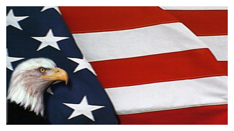 156 DA25-410 With Love and Honor